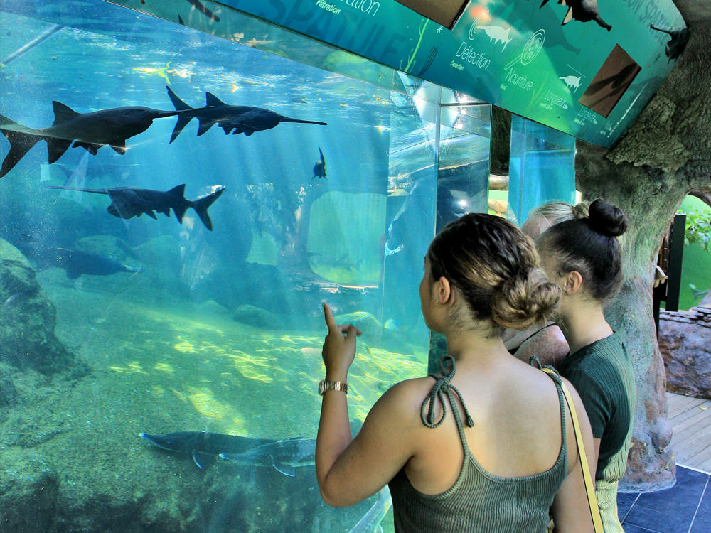 le plus grand aquarium privé d’eau douce en Europe